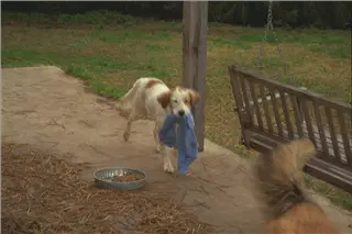 small_9400 0662 cew family etcIMG0092.webp